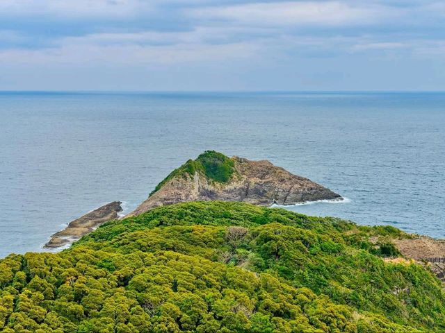 Springtime Thrills on the Edge of Japan