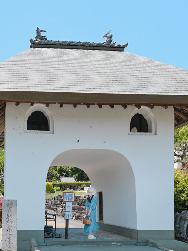 【徳島】旅まとめ