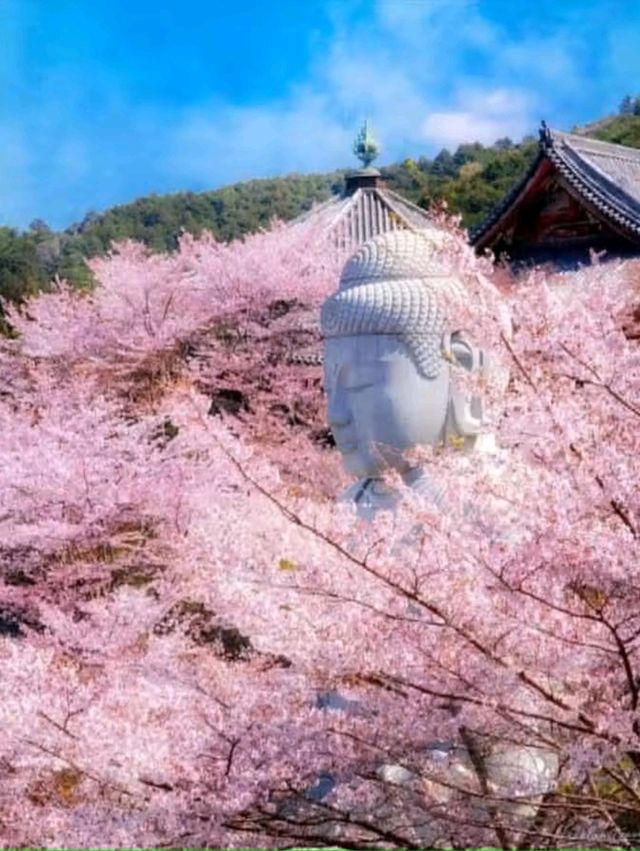 Nagoya – Where Industry Meets Tradition in the Heart of Japan