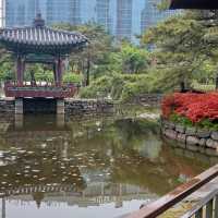 Yeouido Hangang Park (Seoul)