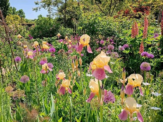 Romance in Bloom: A Day at Sissinghurst Castle Garden, Kent