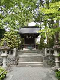 A Peaceful Day in Samukawa – Shrines, Sakura & a Slow Walk