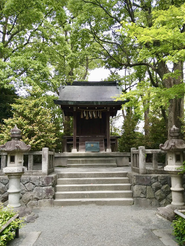 A Peaceful Day in Samukawa – Shrines, Sakura & a Slow Walk