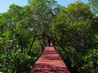ป่าชายเลน บ้านนาใน สลักเพชร Unseen เกาะช้าง 