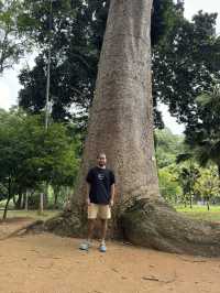 Explore Nature’s Beauty at the Royal Botanic Gardens