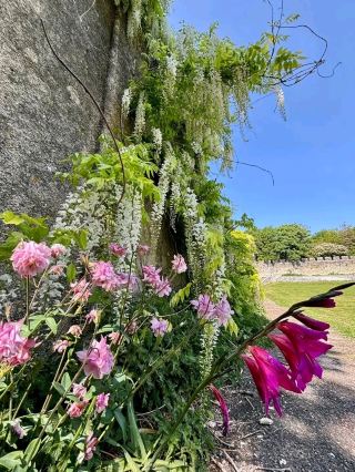 Between Monknash and Southerndown – A Coastal Hike That Stays With You