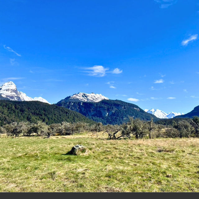 【NZ】3泊4日クイーンズタウン攻略🧳絶景もグルメも満喫！理想の旅プラン公開
