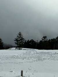 絶景体験とおもてなしの宿。