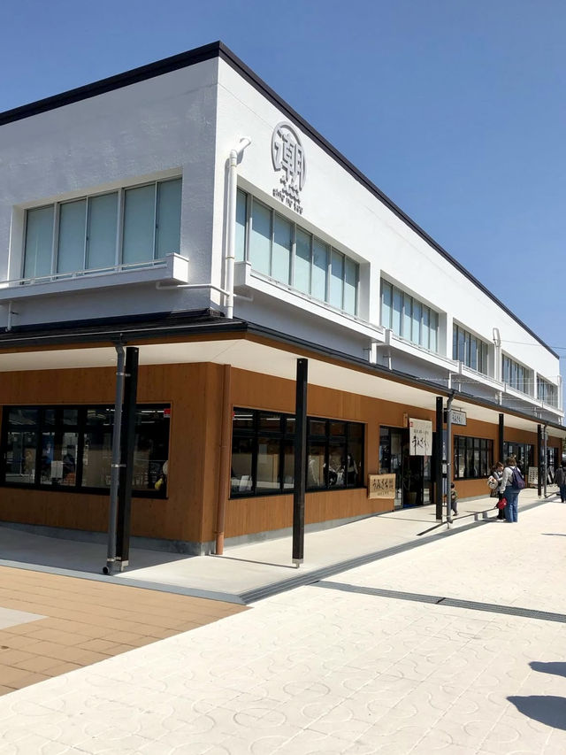 A Relaxed Day by the Sea – Exploring Katsurahama