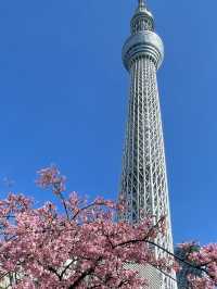 【東京】清澄白河＆押上で1日ゆるさんぽ☕🍞🗼