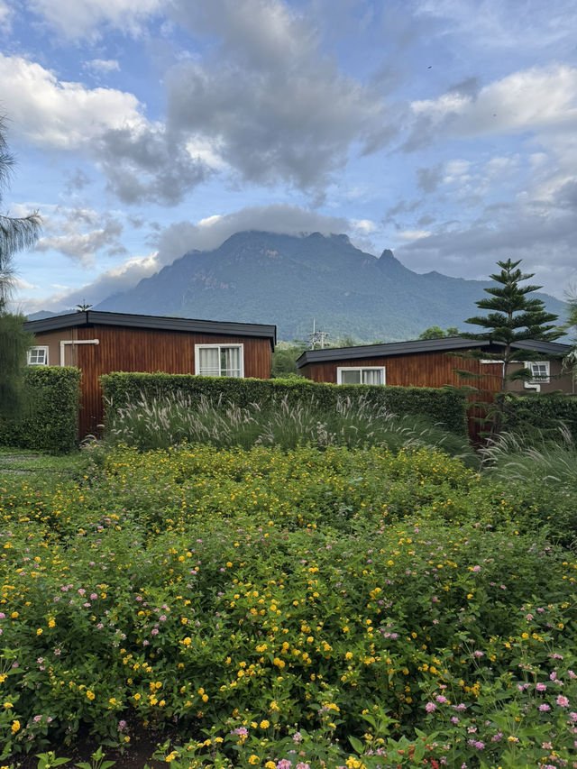 ที่พักเชียงดาว จ.เชียงใหม่ 🏡⛰️🌦️🌲