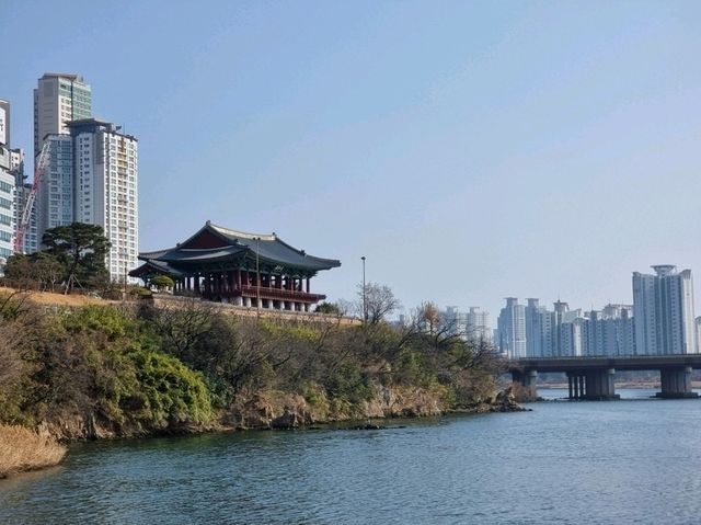 울산 하루 코스: 오전엔 숲, 오후엔 바다, 밤엔 관람차