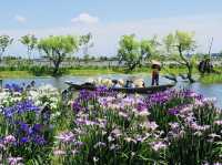 The Suigo Sawara Ayame Park
