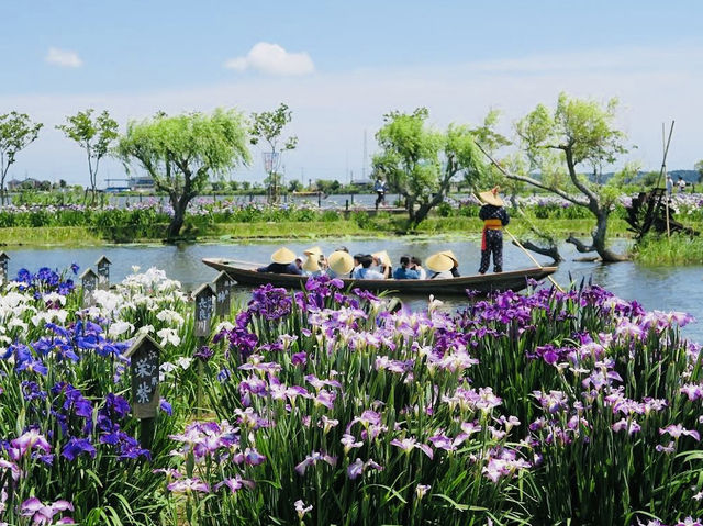The Suigo Sawara Ayame Park