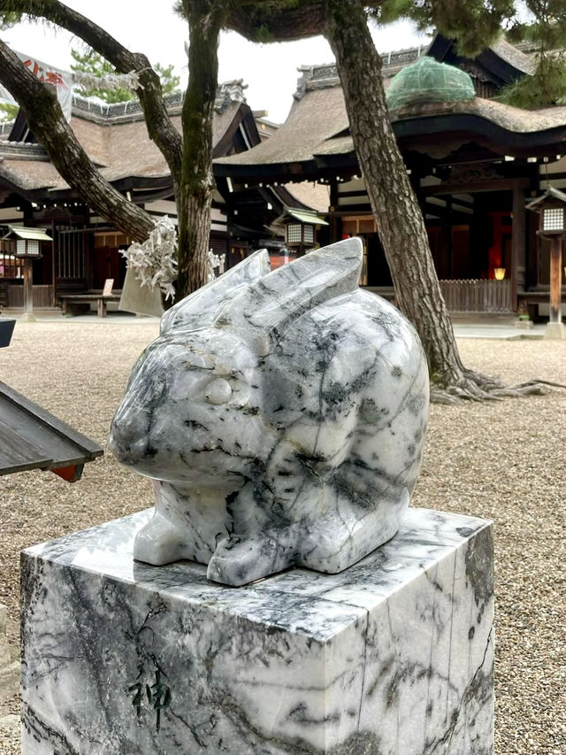 Slow Strolls in Osaka – A Peaceful Day Away from the Crowd