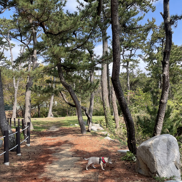울산 바다산책길 일산해수욕장, 대왕암공원
