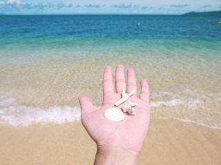 Ishigaki Island: A Paradise Getaway Just 2 Hours Away