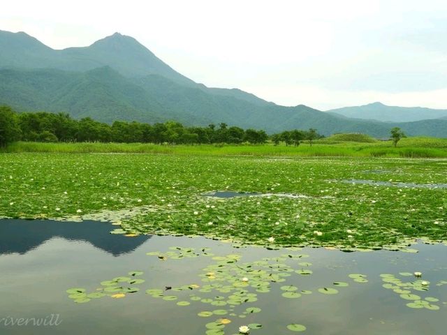 【北海道】世界遺産の森で知床の自然を堪能「知床五湖」
