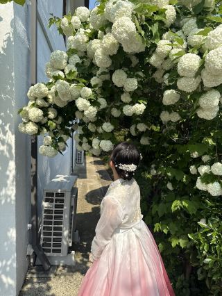 全州韓服春季旅行