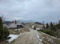 Velika planina