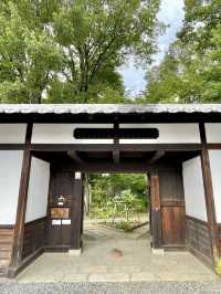 A Day of Art & History in Matsumoto, Nagano 🖼️🏞️