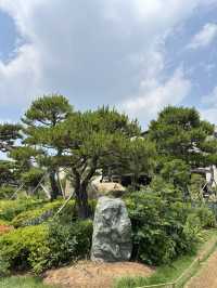 구례 플라타너스 카페에서 통창 구경하기🫡