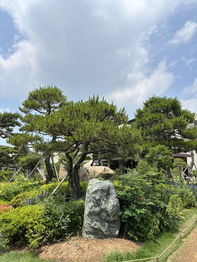 구례 플라타너스 카페에서 통창 구경하기🫡