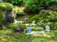 【島根県】 山陰最大級の池泉回遊式日本庭園『由志園』