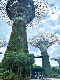 สิงคโปร์🇸🇬
