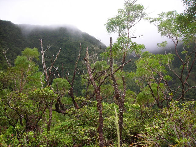 Haleakalā National Park 