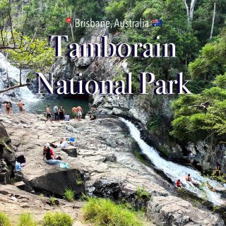 Discover a Hidden Gem: Tamborine National Park Near Brisbane