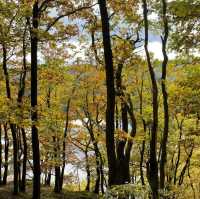 Eifel National Park Hike 🌲🚶‍♀️