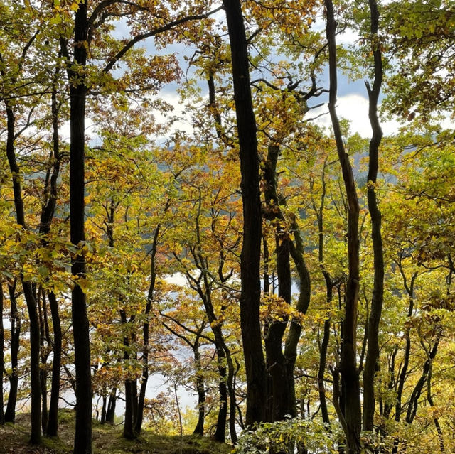Eifel National Park Hike 🌲🚶‍♀️