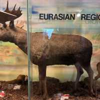 South Australian Museum – Adelaide, SA