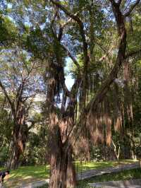想不到深圳中山公園是這麼吸引的！！