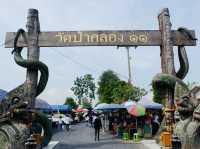 ✨ วัดป่าคลอง 11 (คำชะโนด 2) ✨