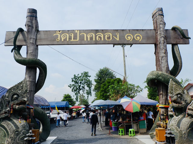 ✨ วัดป่าคลอง 11 (คำชะโนด 2) ✨