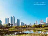 A Refreshing Escape in Songdo: Review of Michuhol Park