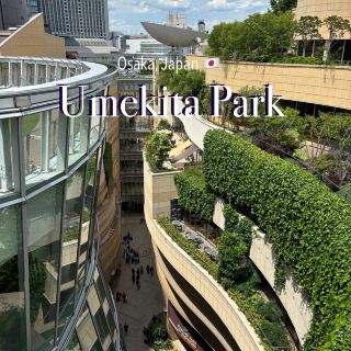 Forget Shinsaibashi, Umeda, or Namba Parks! Osaka's Best Spot to Explore? This Hidden Gem! ✨