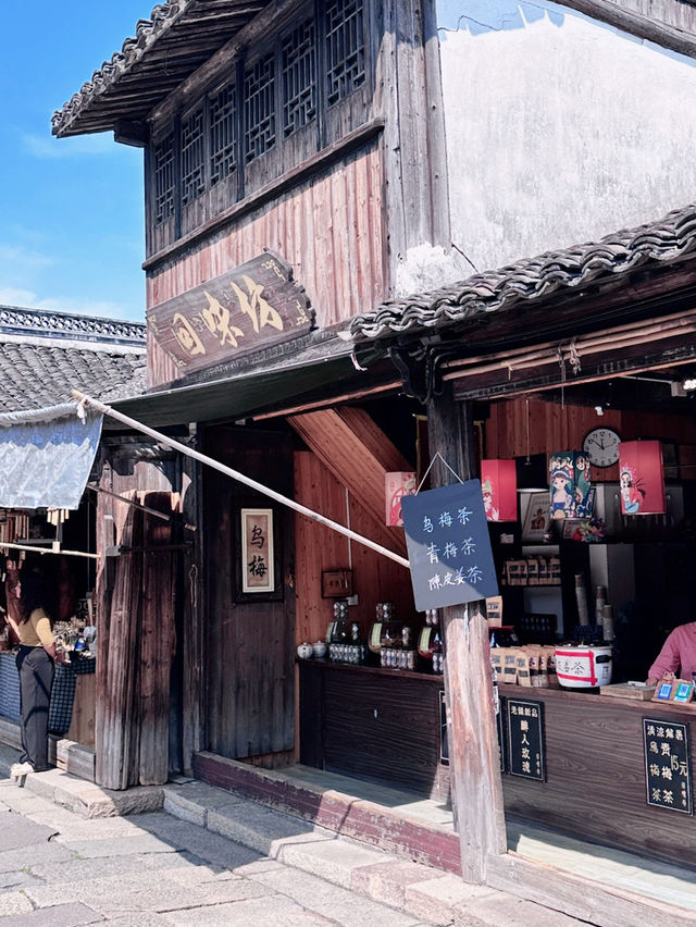 Morning Serenity in Wuzhen ☀️🌿 | A Slow Summer Day with Early Tea 🍵🌸