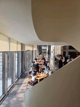 Sunlit and Perfect for Reading: MaMuk Lounge