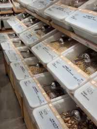 Slowood HongKong: A MUST visit for fragrance lover!