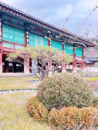 [설악산 여행기] 걷는 것만으로도 위로가 되는 시간, 설악산🌲