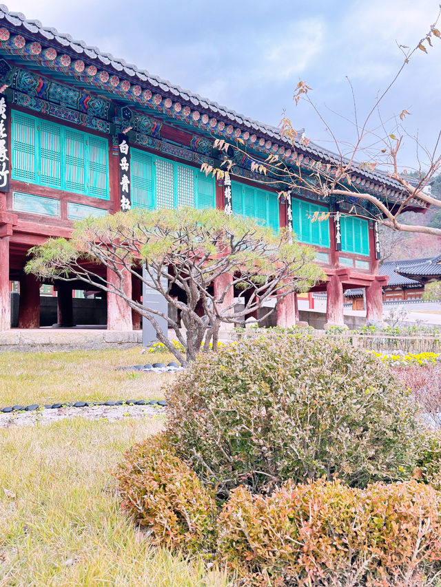 [설악산 여행기] 걷는 것만으로도 위로가 되는 시간, 설악산🌲