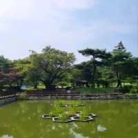 Anyang Adventures