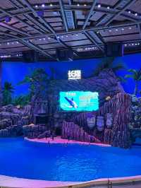 親子遊🇨🇳珠海長隆海洋王國🌊🐬🐋🐟全攻略
