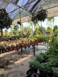 Garden Café Vibes – Zen Moments on a Budget