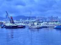 香港｜觀塘海濱花園