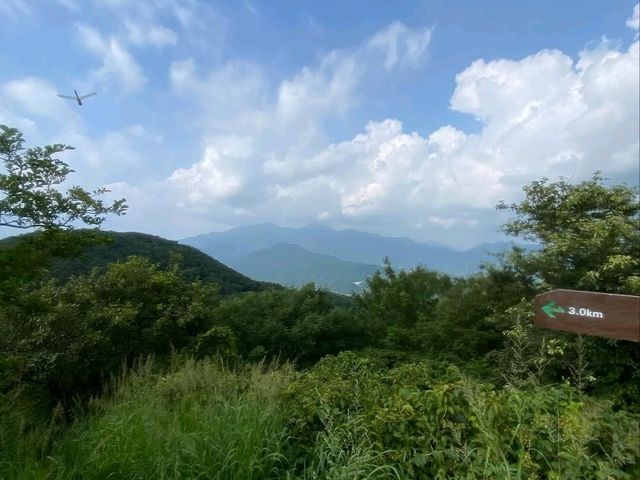 Quiet Trails & Mountain Feels