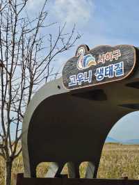 다대포는 유명한 일몰 장인임!